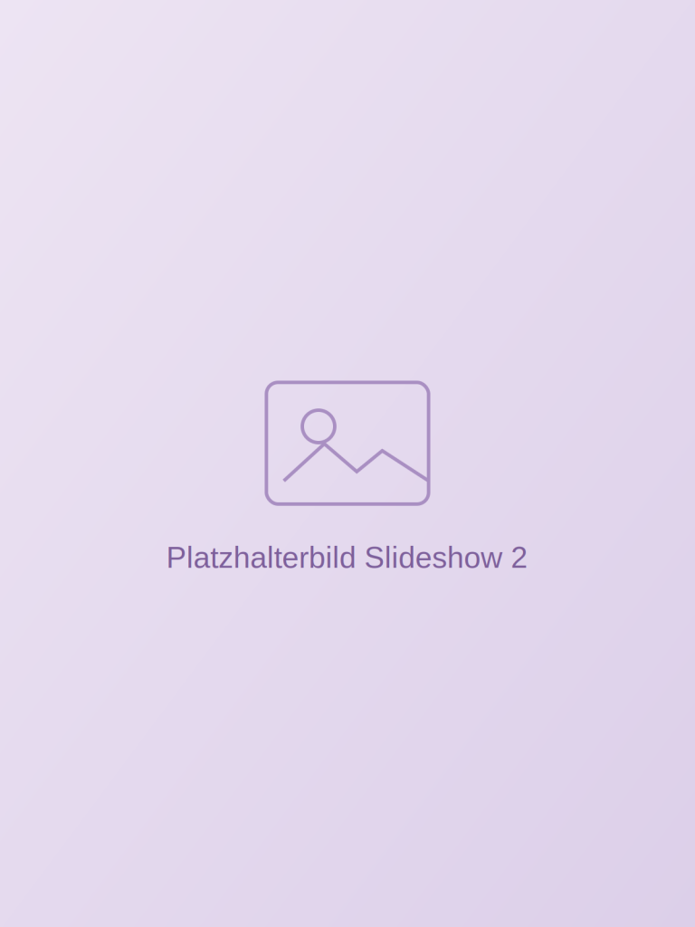 Platzhalterbild: Eventimpression 2